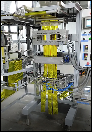 Envasadora mecanica servomotorizada multipista
